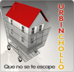 Urbinchollo